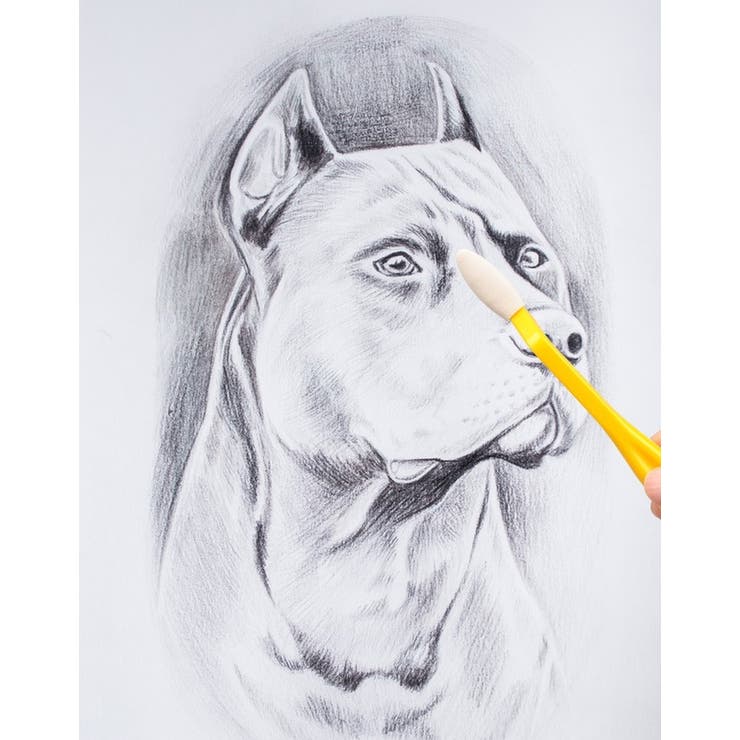 スケッチ用消しゴム 画材 文房具 | PlusNao | 詳細画像3 