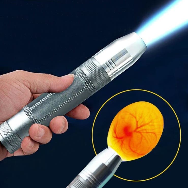 検卵器 検卵機 ライト[品番：FQ000171033]｜PlusNao（プラスナオ）の