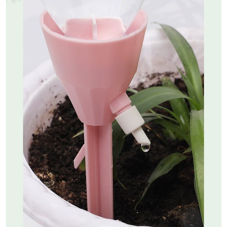 『心に水やり』 自動給水キャップ 自動水やり器 水やり[品番：FQ000203951]｜PlusNao