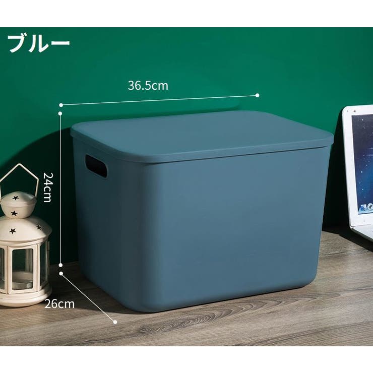 収納ボックス 収納ケース ノーマルL | PlusNao | 詳細画像4 