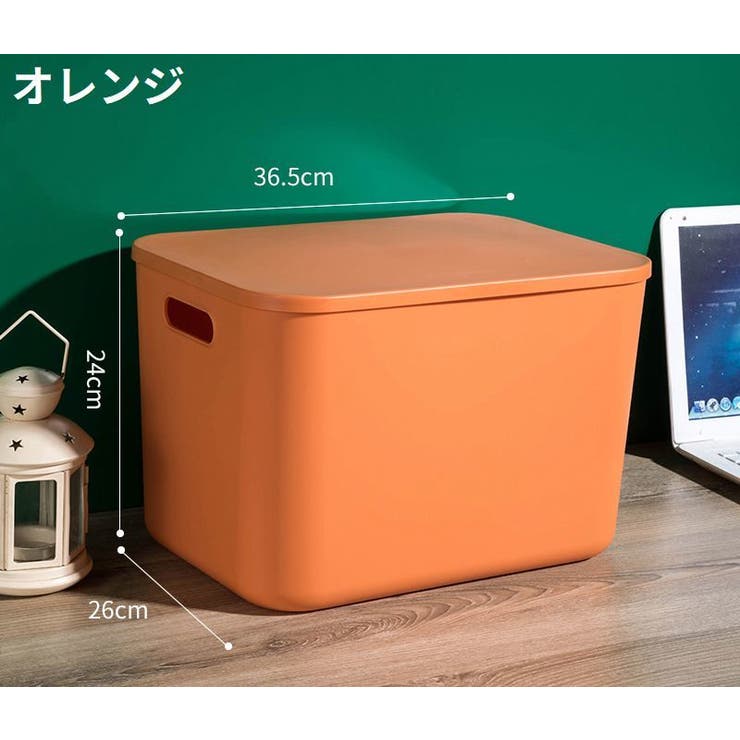 収納ボックス 収納ケース ノーマルL | PlusNao | 詳細画像7 