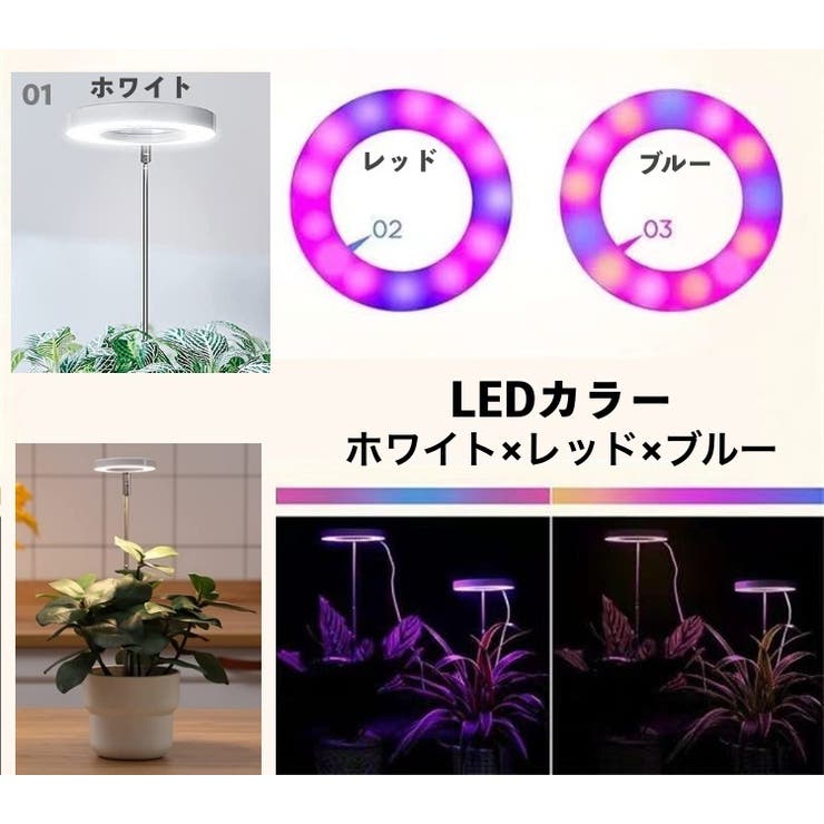 植物育成ライト プラントライト 高さ調節可能 | PlusNao | 詳細画像5 