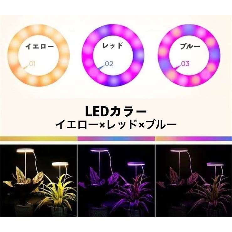 植物育成ライト プラントライト 高さ調節可能 | PlusNao | 詳細画像6 