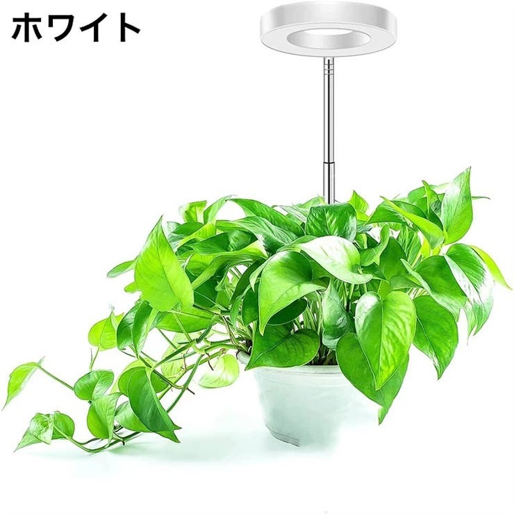 植物育成ライト プラントライト 高さ調節可能 | PlusNao | 詳細画像7 