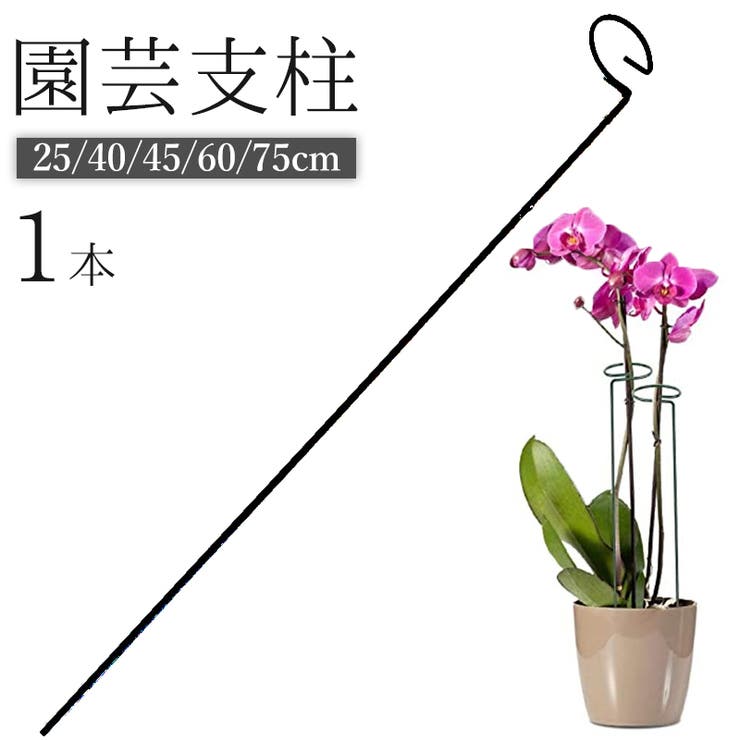園芸支柱 植木鉢 観葉植物 | PlusNao | 詳細画像1 