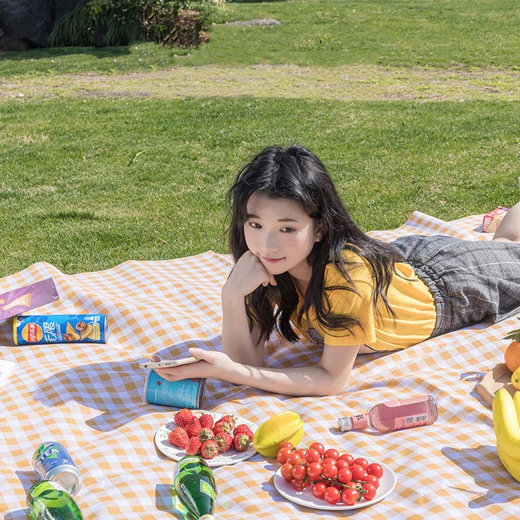 レジャーシート ピクニックシート アウトドア用品 | PlusNao | 詳細画像6 