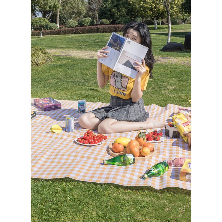 レジャーシート ピクニックシート アウトドア用品 | PlusNao | 詳細画像7 