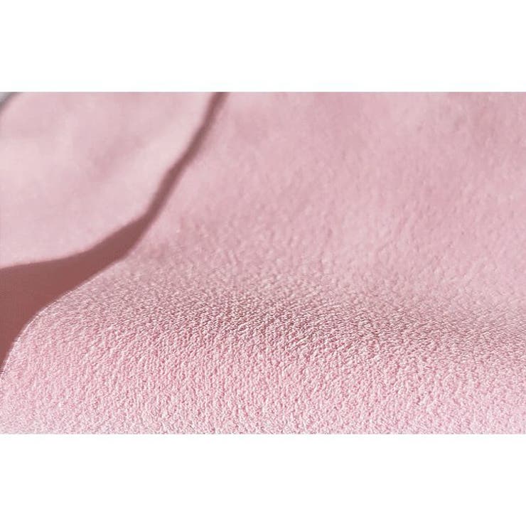 メガネ拭き 5枚セット 大判 | PlusNao | 詳細画像5 