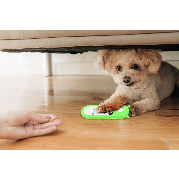 リモコンカバー Google Chromecast | PlusNao | 詳細画像11 