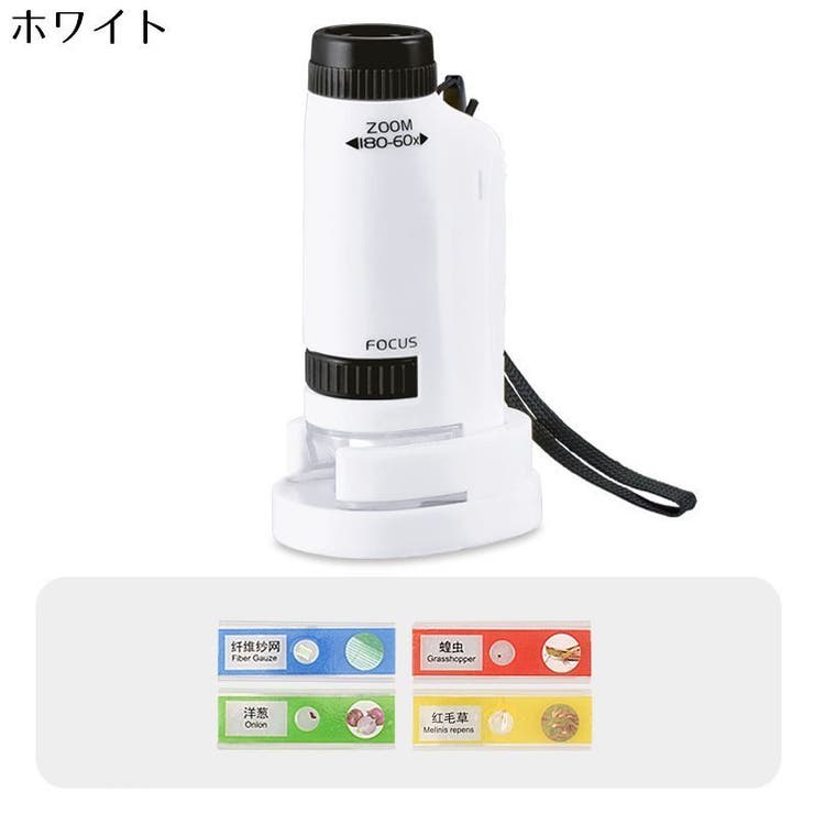 ミニ顕微鏡 子供用 小学生 | PlusNao | 詳細画像15 