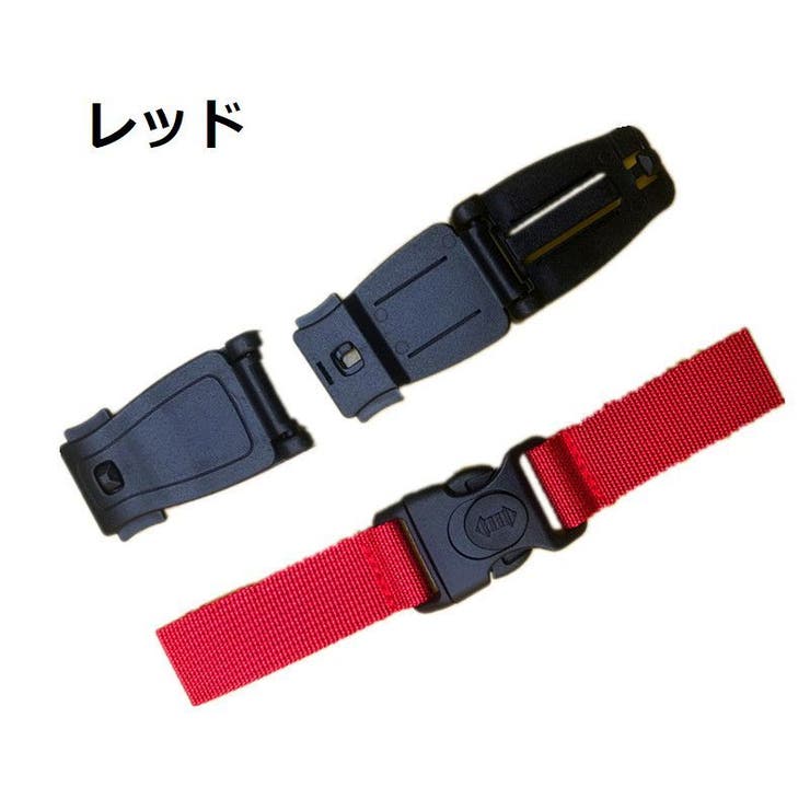 たぬちゃ AZONE INTERNATIONAL::えっくす☆きゅーと