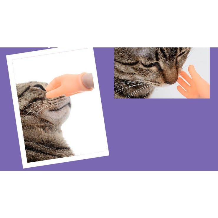 猫用おもちゃ ペット用おもちゃ ねこ | PlusNao | 詳細画像4 