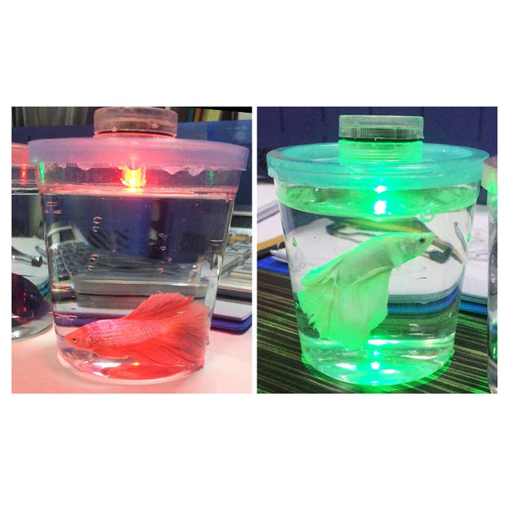 テーブルライト LEDライト 小型 | PlusNao | 詳細画像4