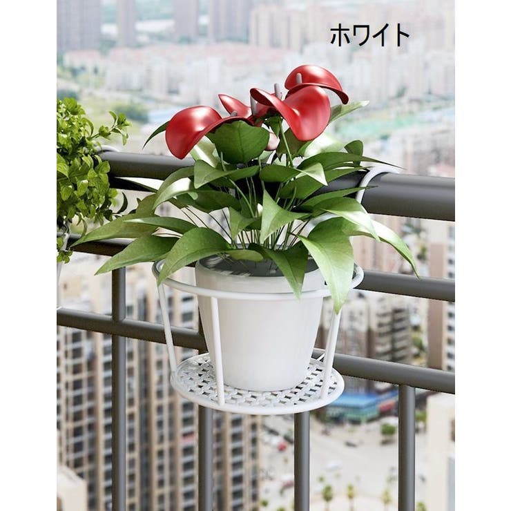 プラントホルダー 吊り下げ 植木鉢 | PlusNao | 詳細画像9 