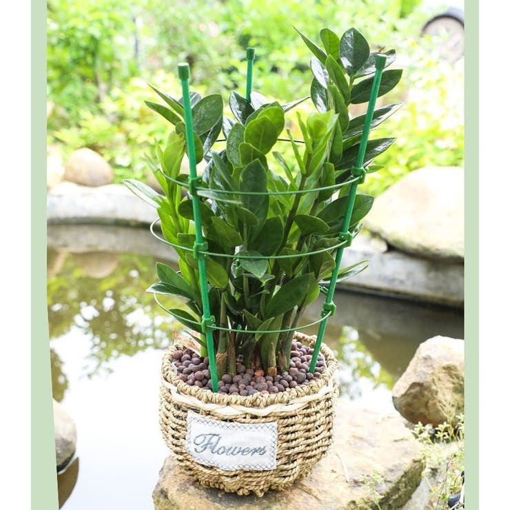 園芸用支柱 リング支柱 植木鉢用[品番：FQ000177496]｜PlusNao