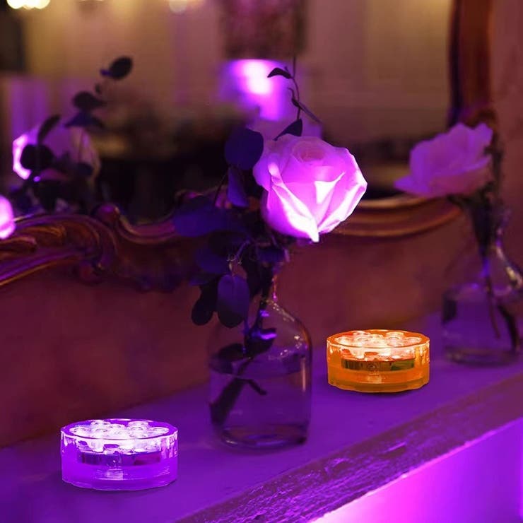 バスライト 水中ライト 電池式 | PlusNao | 詳細画像10 