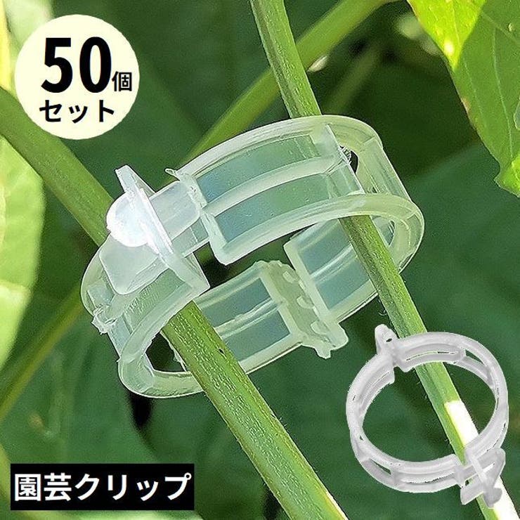 園芸クリップ 誘引クリップ 50個[品番：FQ000209880]｜PlusNao