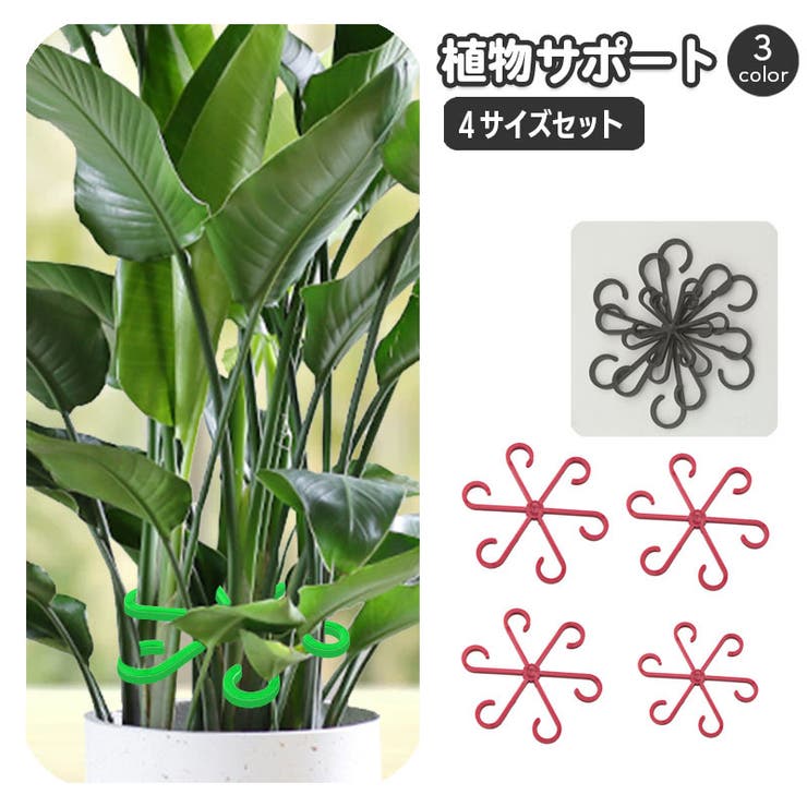 植物サポート 4サイズセット 茎ホルダー | PlusNao | 詳細画像1 