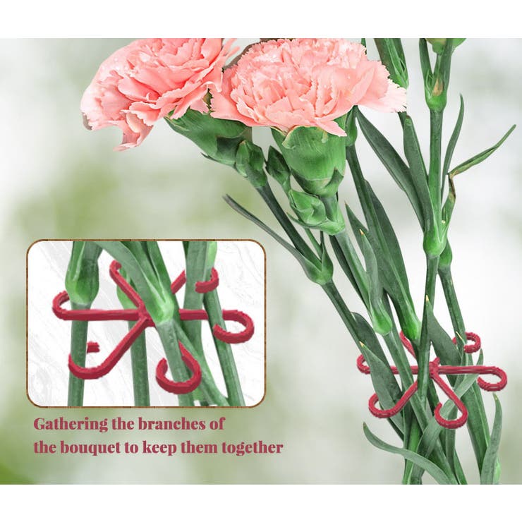 植物サポート 4サイズセット 茎ホルダー | PlusNao | 詳細画像2 