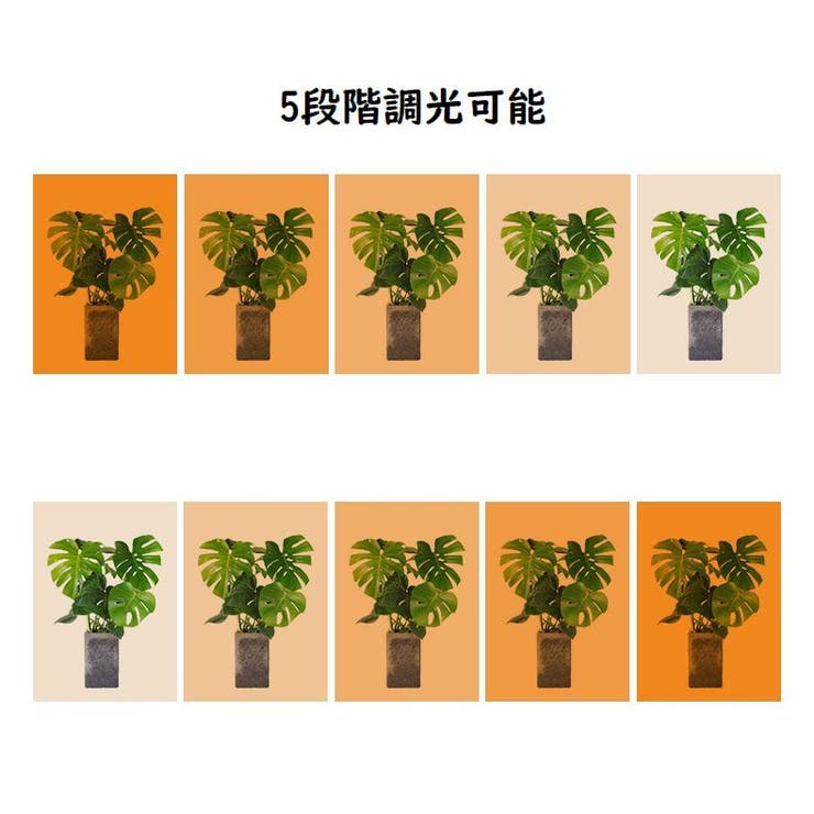 植物育成ライト プラントライト 植物ライト | PlusNao | 詳細画像8 