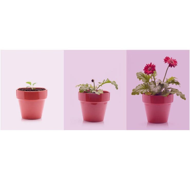 植物育成ライト プラントライト 植物ライト | PlusNao | 詳細画像9 