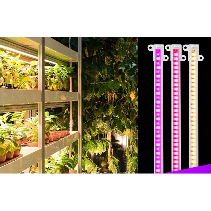 植物育成ライト プラントライト 植物ライト | PlusNao | 詳細画像3 