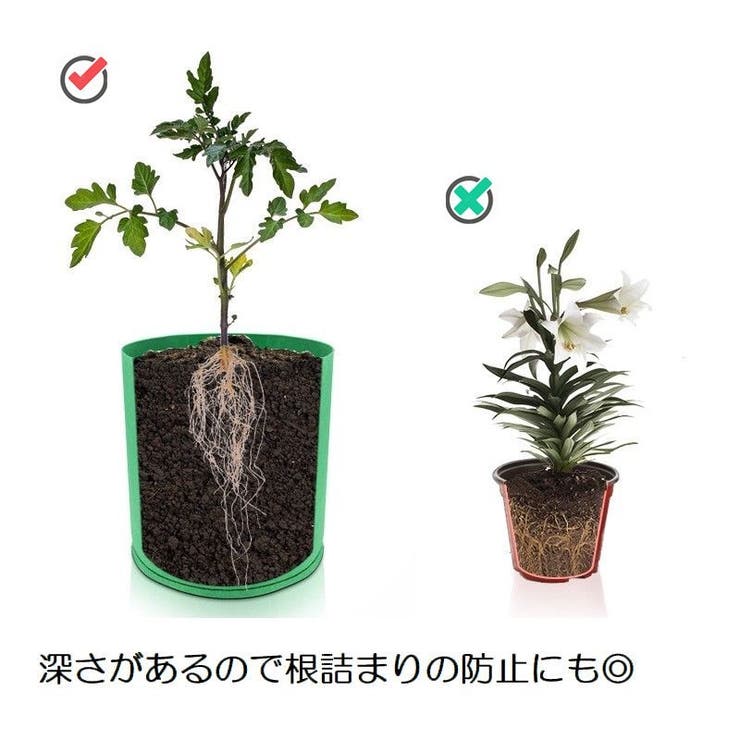不織布プランター 植木鉢 花鉢 | PlusNao | 詳細画像14 