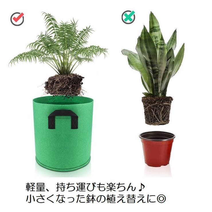 不織布プランター 植木鉢 花鉢 | PlusNao | 詳細画像15 
