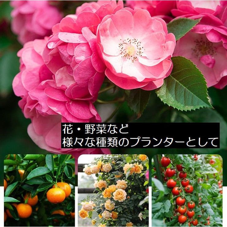 不織布プランター 植木鉢 花鉢 | PlusNao | 詳細画像4 