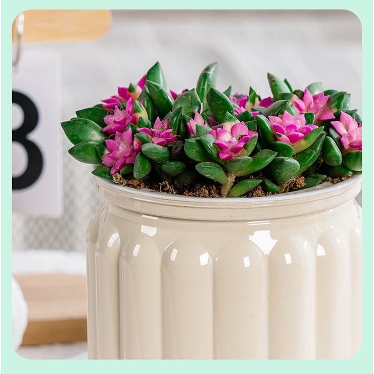 植木鉢 自動給水 プランター | PlusNao | 詳細画像13 