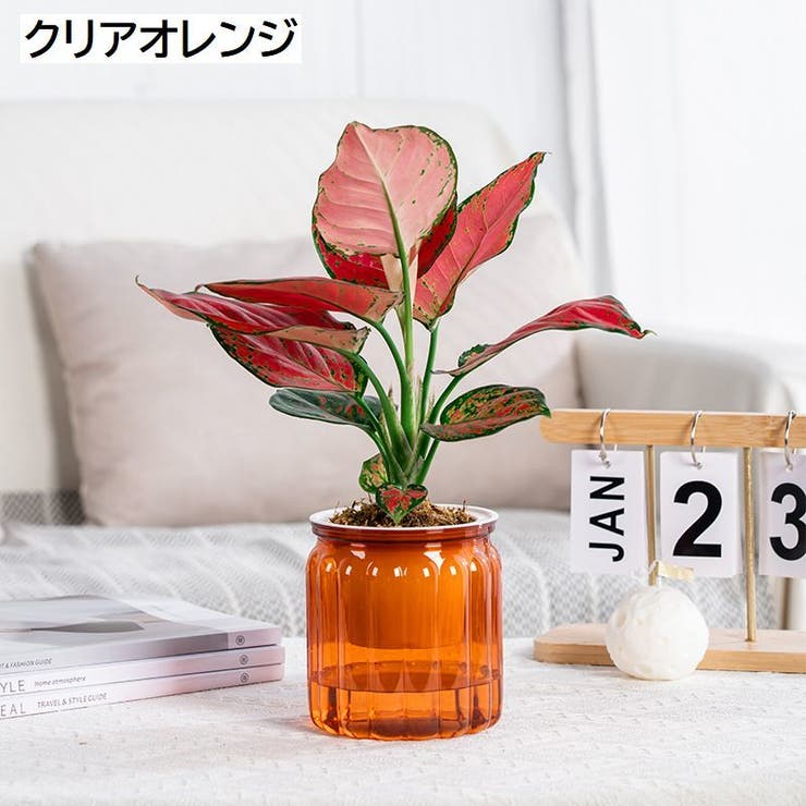 植木鉢 自動給水 プランター | PlusNao | 詳細画像19 