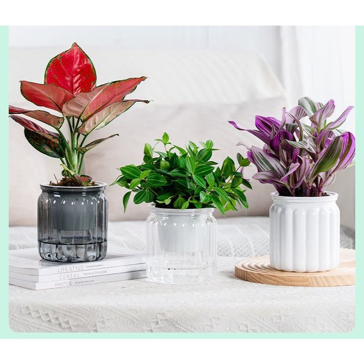 植木鉢 自動給水 プランター | PlusNao | 詳細画像2 