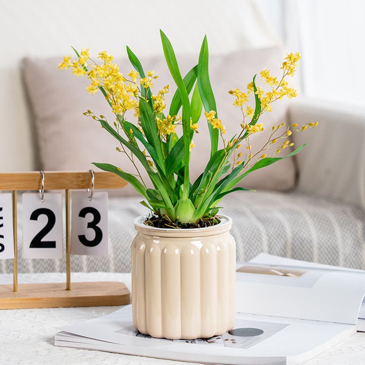 植木鉢 自動給水 プランター | PlusNao | 詳細画像7 