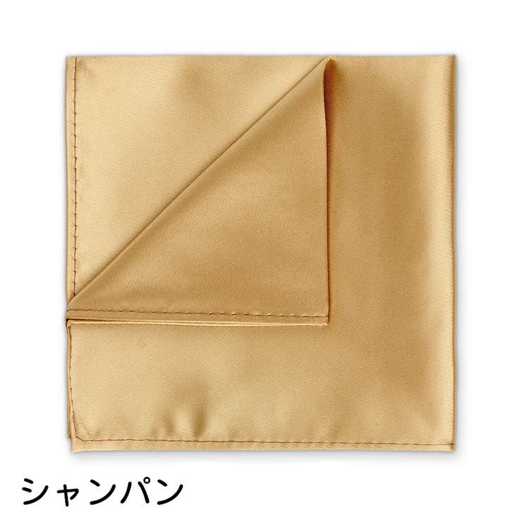 ポケットチーフ ハンカチ メンズ | PlusNao | 詳細画像10 