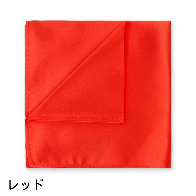 ポケットチーフ ハンカチ メンズ | PlusNao | 詳細画像6 