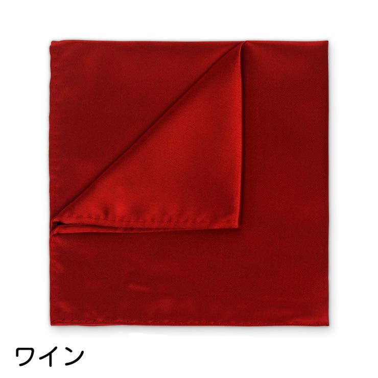 ポケットチーフ ハンカチ メンズ | PlusNao | 詳細画像7 