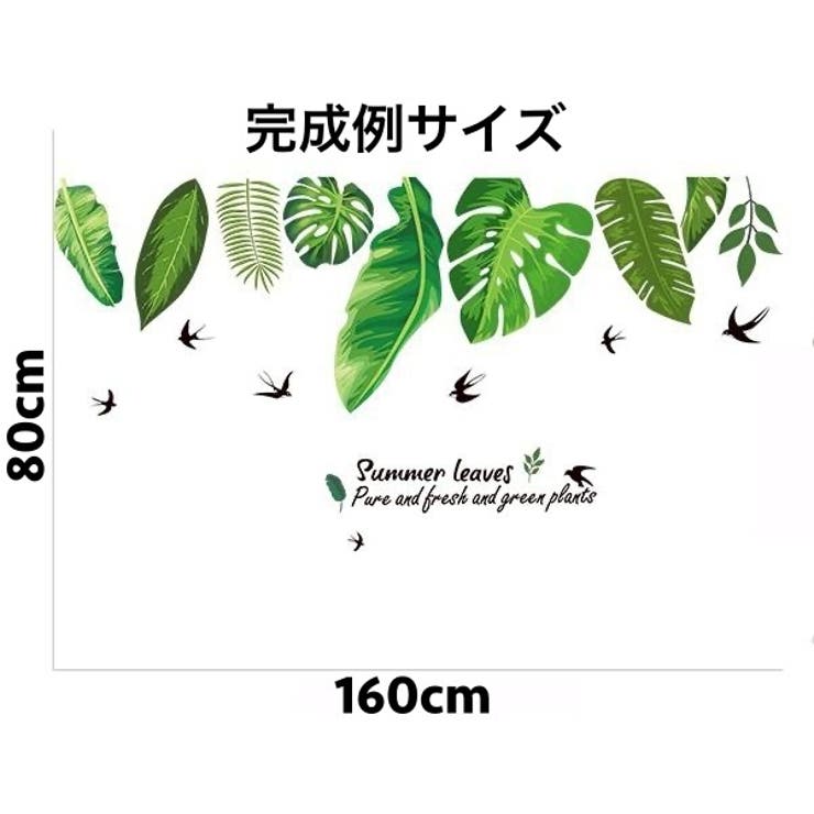 ウォールステッカー 壁紙シール リーフ | PlusNao | 詳細画像6 