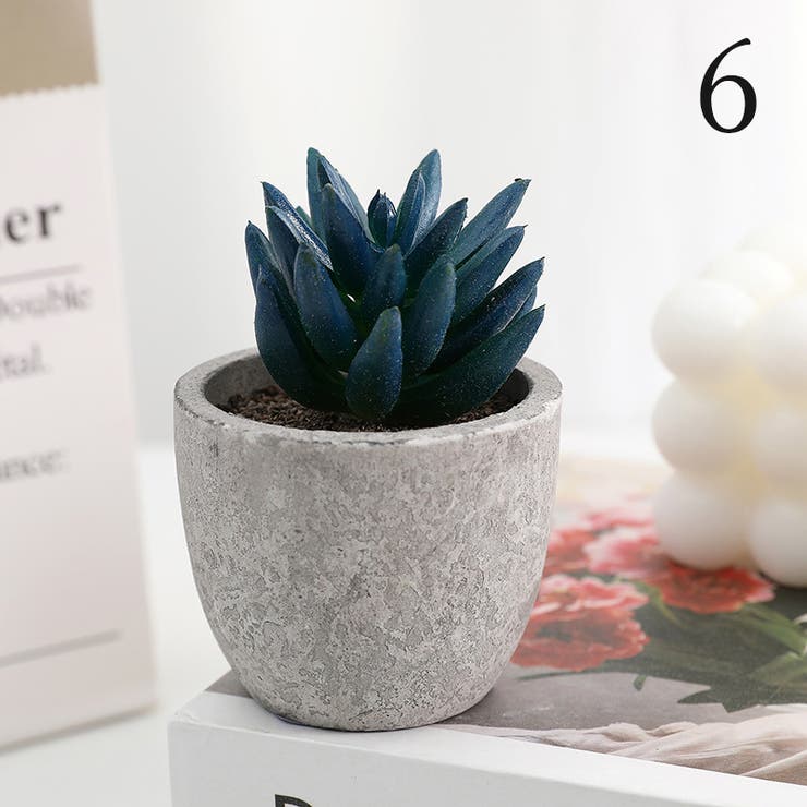 フェイクグリーン 人工観葉植物 多肉植物[品番：FQ000201127]｜PlusNao