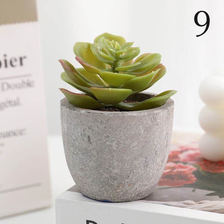 フェイクグリーン 人工観葉植物 多肉植物[品番：FQ000201127]｜PlusNao