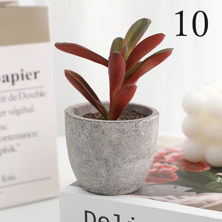 フェイクグリーン 人工観葉植物 多肉植物[品番：FQ000201127]｜PlusNao