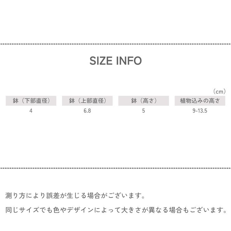 フェイクグリーン 人工観葉植物 多肉植物 | PlusNao | 詳細画像17 