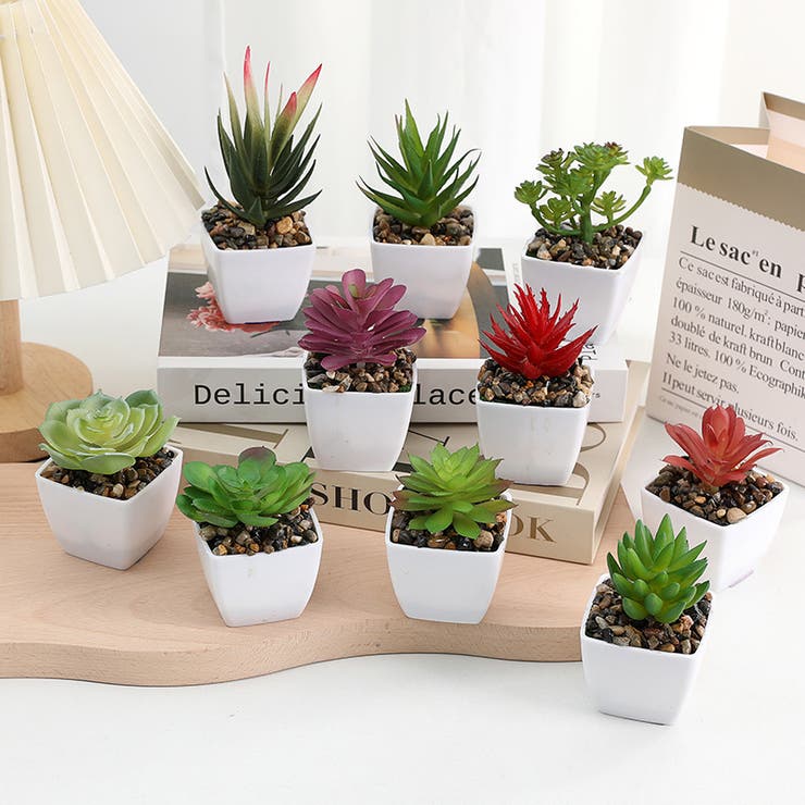 フェイクグリーン 人工観葉植物 多肉植物[品番：FQ000201127]｜PlusNao