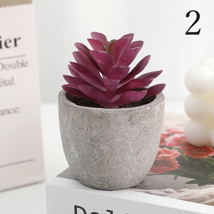 フェイクグリーン 人工観葉植物 多肉植物[品番：FQ000201127]｜PlusNao