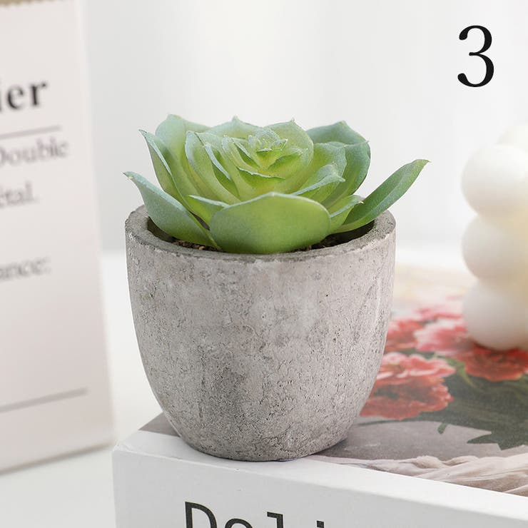 エアプランツ＆多肉植物 (ブロンズ)▫️フェイクグリーン・フェイク多肉植物 エアプランツ＆多肉植物 (ブロンズ)▫️フェイクグリーン・フェイク