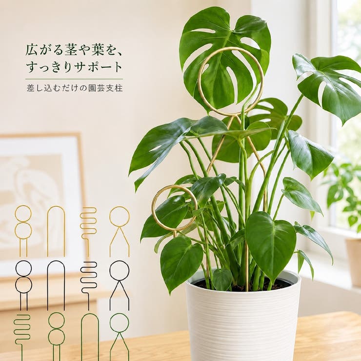 園芸支柱 植物支柱 ガーデニング[品番：FQ000215762]｜PlusNao