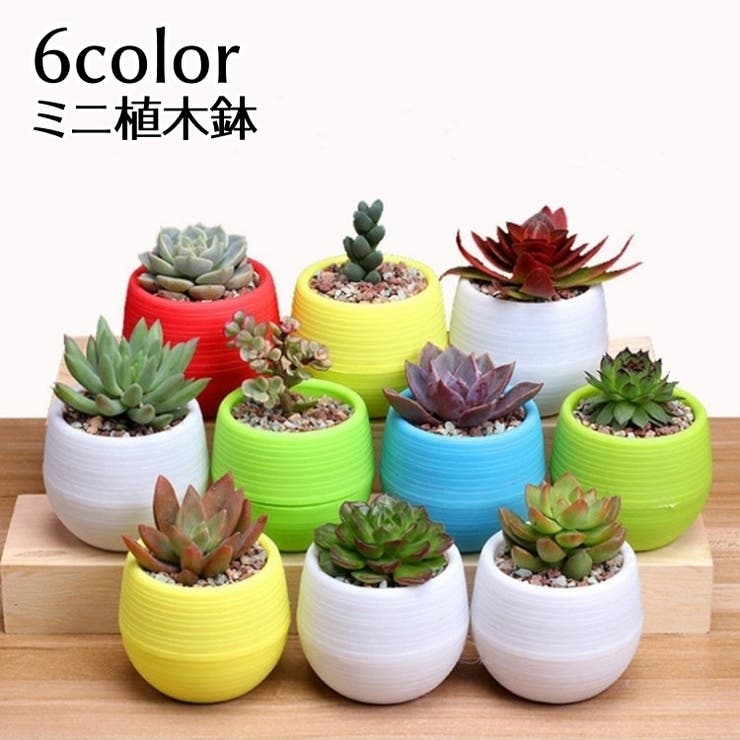 植木鉢 フラワーポット 受け皿付き | PlusNao | 詳細画像1 