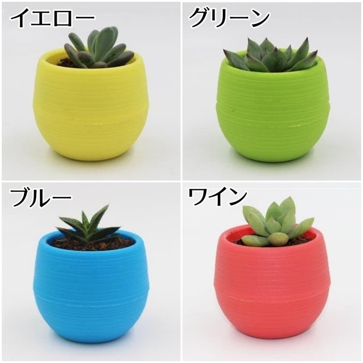 植木鉢 フラワーポット 受け皿付き | PlusNao | 詳細画像15 