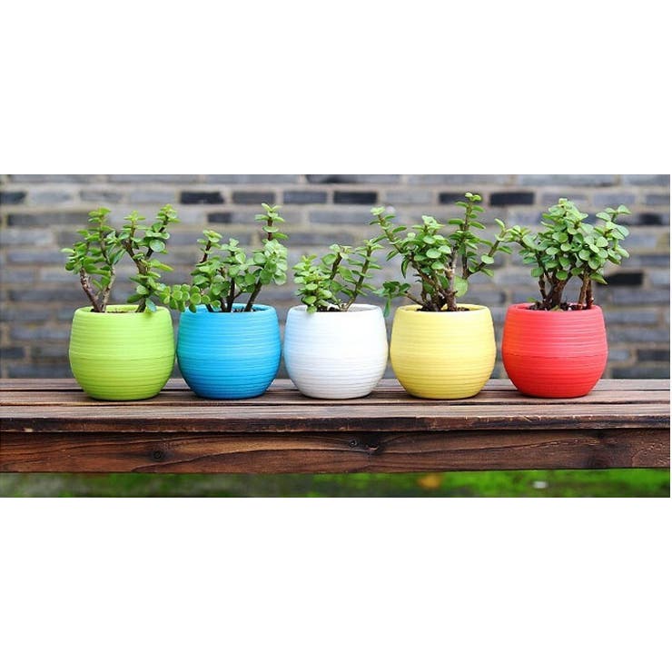 植木鉢 フラワーポット 受け皿付き | PlusNao | 詳細画像8 