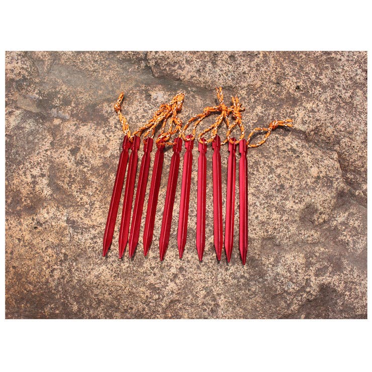 テントペグ Y字タイプ 12本セット | PlusNao | 詳細画像6 