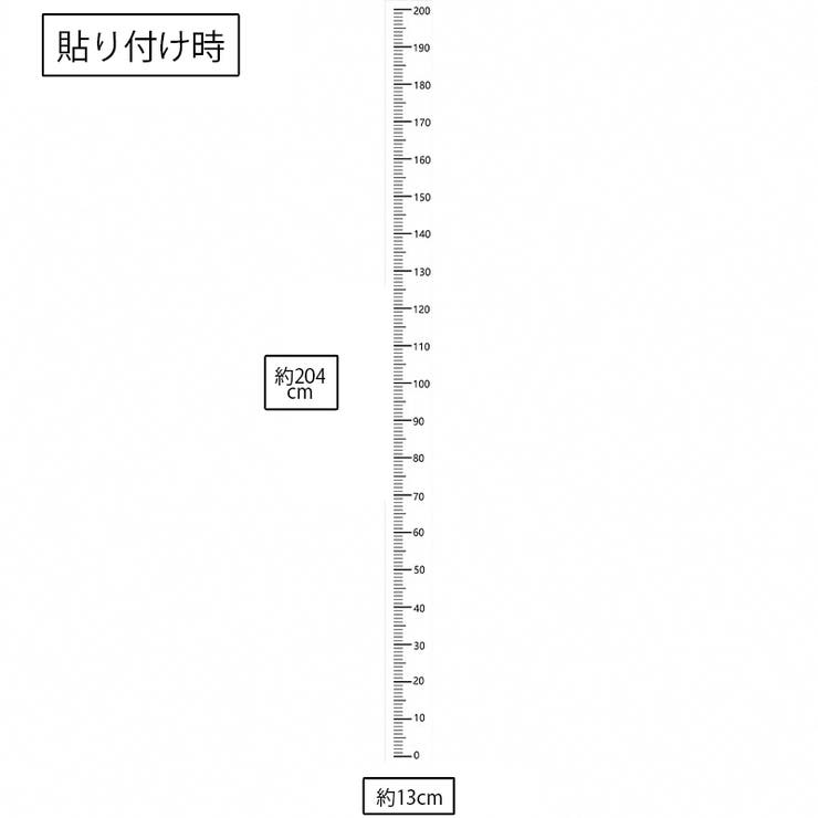 ウォールステッカー 壁紙シール 身長計 | PlusNao | 詳細画像6 